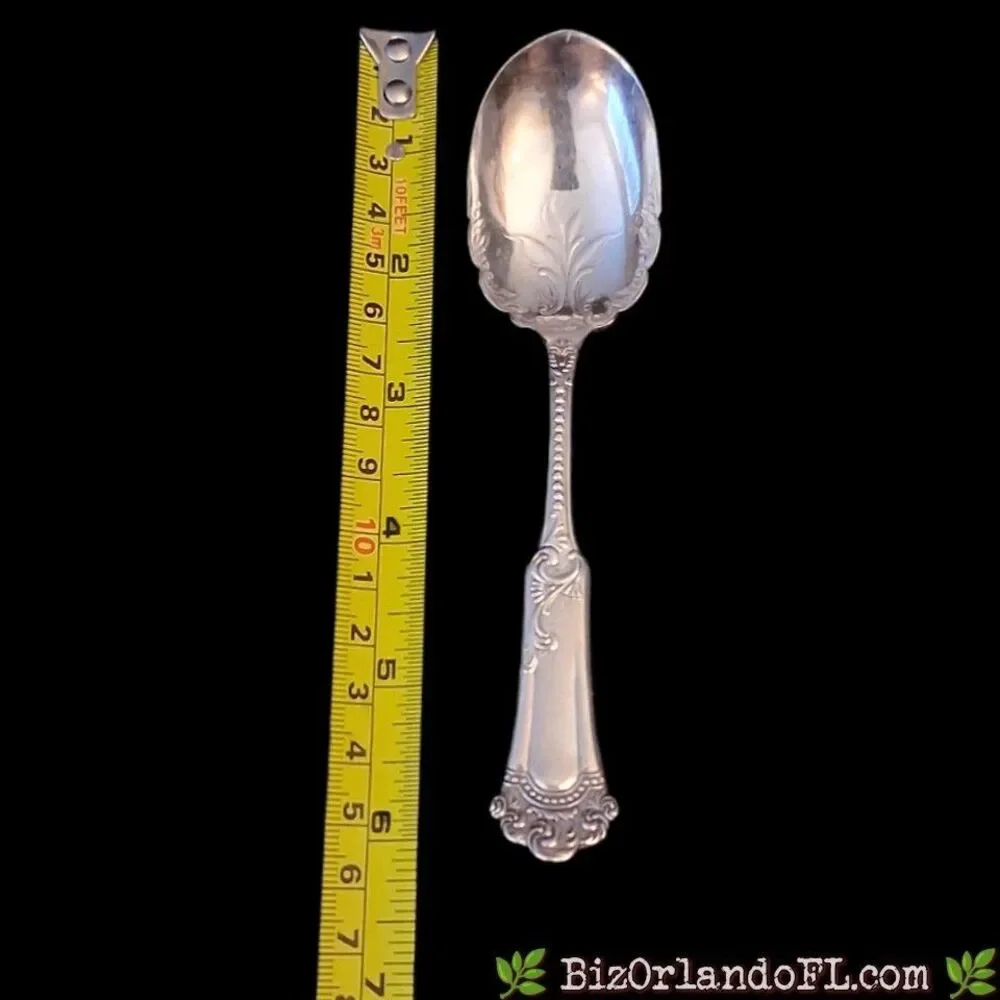 VINTAGE: Wm. A. Rogers Oneida Silverplate Sugar Spoon Aurora Pattern AKA Empress